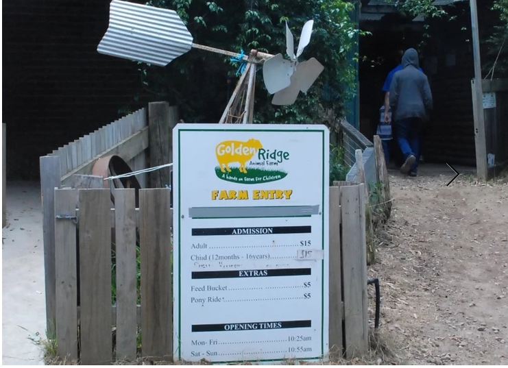 Golden Ridge Farm Toydler