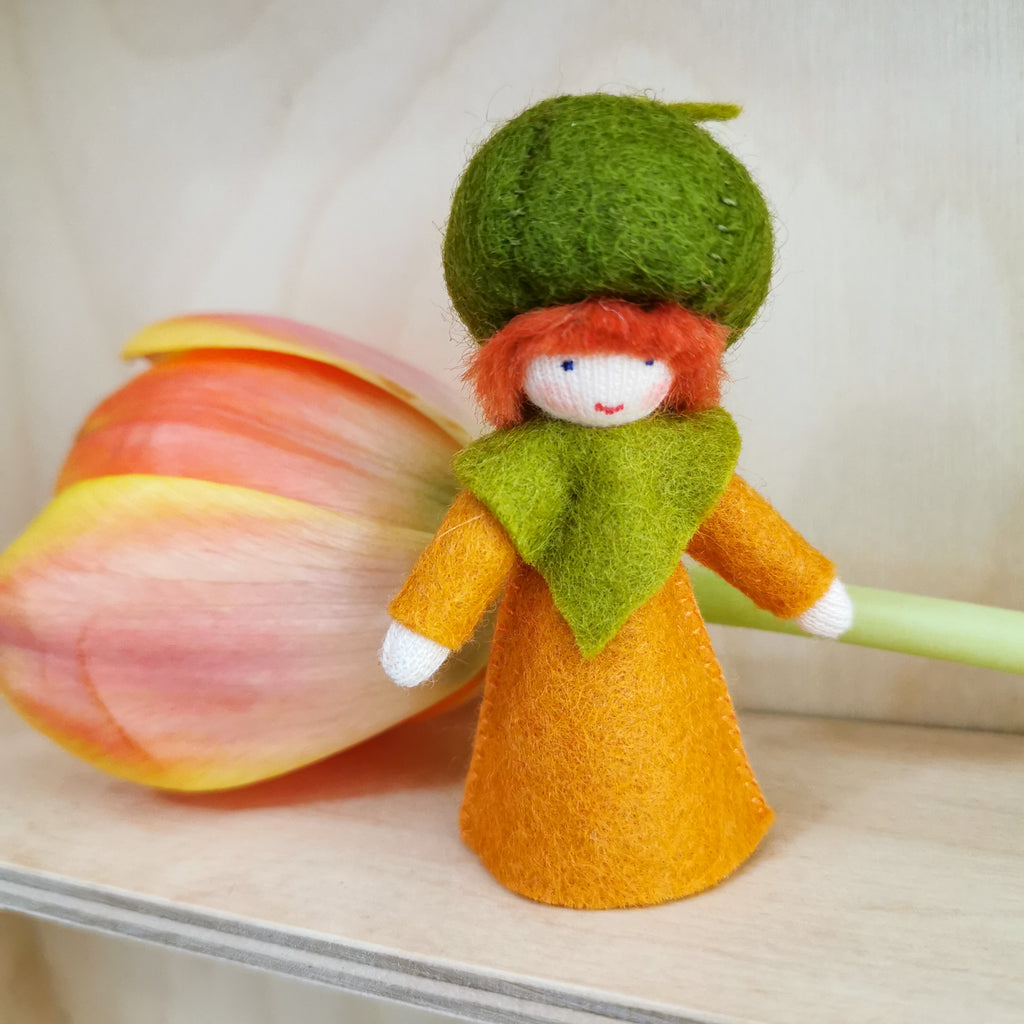 Flowerfaries - Pumpkin Boy - Toydler
