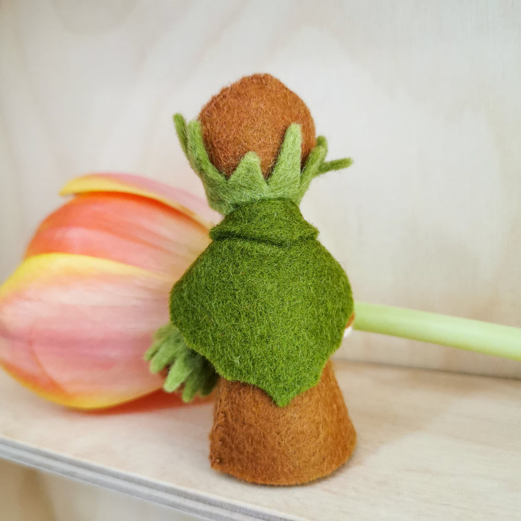 Flowerfaries - Hazelnut Boy - Toydler