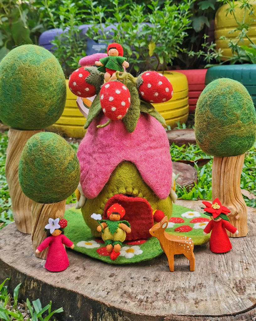 Strawberry House and Mat - Toydler